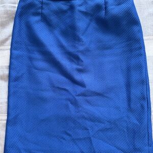 Elegant Blue Women's Skirt